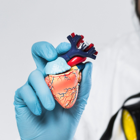 Cardiovascular Agents